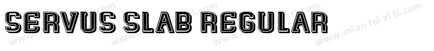 Servus Slab Regular字体转换